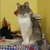 Отзыв от Виктория Пастухова
